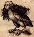 The_Harpy.png