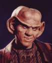Quark.gif