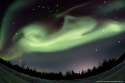 auroradog_chumack_1800.jpg