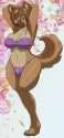 skidd-wolf1266-collab.jpg