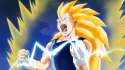 Vegeta3.gif
