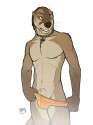 1325113687.tsaiwolf_12-28.jpg