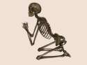 begging for the bone.png