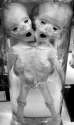 Conjoined Numbers Get.jpg