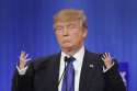 TrumpsHands1_16819094_8col.jpg