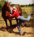 whorse.jpg
