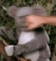 1415685858638.gif