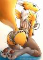 Renamon0.jpg