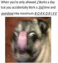 213178.jpg