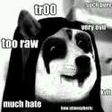 tumblr_mx3h8748Cy1rck6evo1_400.jpg