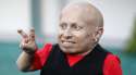 verne-troyer759.jpg