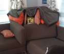 dogfort (2).jpg