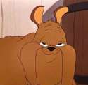 1415211083024.jpg