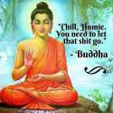 buddga.jpg