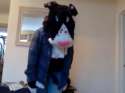 friday_border_collie_fursuit_by_callicoyote-d4n88ks.png