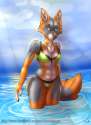 1457037258.almaaurora_greyfoxsm.png