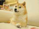 1376151750824.gif