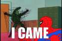 came_Spider_Man_Meme-s500x333-196081.jpg