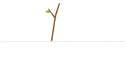Stick w Leaf.png