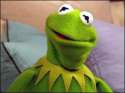kermit-confused.jpg