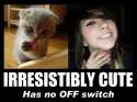 irresistibly cute.jpg