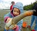 geoduck.jpg