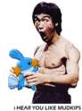 Mudkip_LEE.gif
