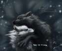 1384010805.nagi-wolf_2013_nxk_2nd_anniversary-dafa.jpg
