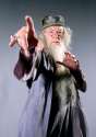 harry potter dumbledor.jpg
