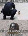 detained.jpg