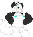 25_1304140948.niis_corgi.jpg