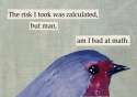 birdlaw.jpg