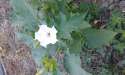 20160215_072629.jpg