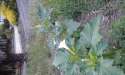 20160215_072635.jpg