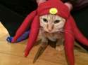 tumblr_mzsko9FqMC1rm4wgqo7_1280.jpg