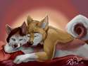 1392447626.ricoshae_couple_stuffs.jpg