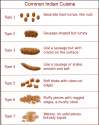 Common_Indian_Cuisine-Shit.png