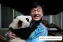 jackie-chan-photo-collection-16.jpg