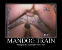 man dog train these guys are pushing the limits.jpg