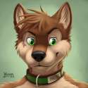1352617_WagnerMutt_avatar3_normal.jpg