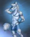 1439499910.vallhund_com-fahleir_argent02.png