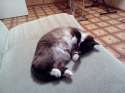 IMG_20140508_205640.jpg