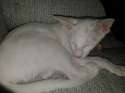 20120501_131322.jpg