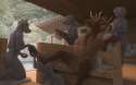 061_1387775344.zaush_elk_spa_final_web.jpg