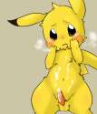 751579 - Pikachu Porkyman.png