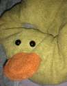 Ducc 17.jpg