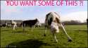 1361688784640[1].gif