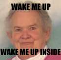 Wakemeupinside.png