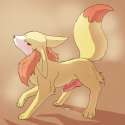 Fennekin1.jpg