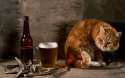 beercat.jpg